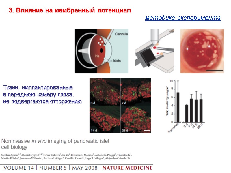 3. Влияние на мембранный потенциал  методика эксперимента  Ткани, имплантированные  в переднюю